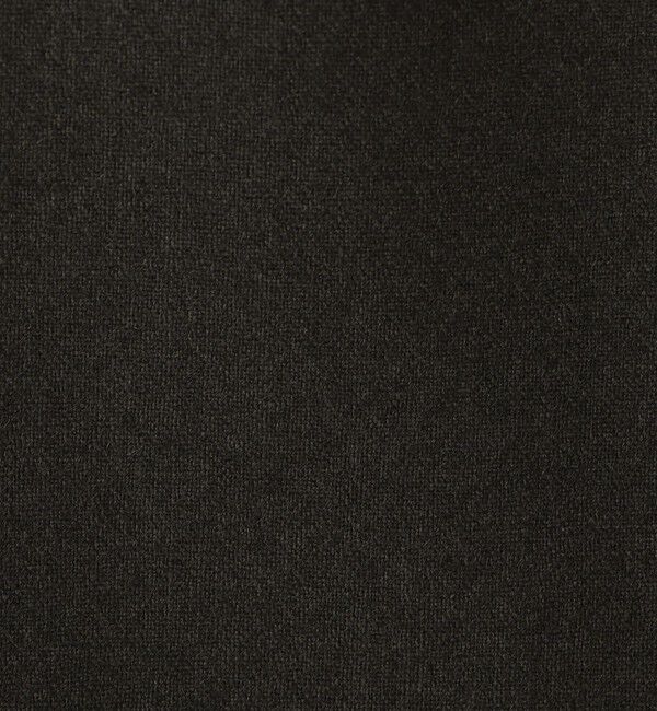 Edition「ウールメルトンポプリン Iラインスカート」|スカート|