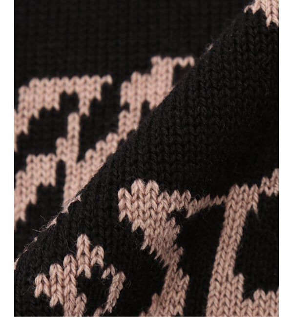 Oriens JOURNAL STANDARD「【CARHARTT WIP 】 CHEDDA WIP BEANIE」|ニット帽|