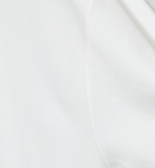 ABAHOUSE「【クルーネック】ECO VERO レーヨンポンチTシャツ / ロンT」|Tシャツ・カットソー|