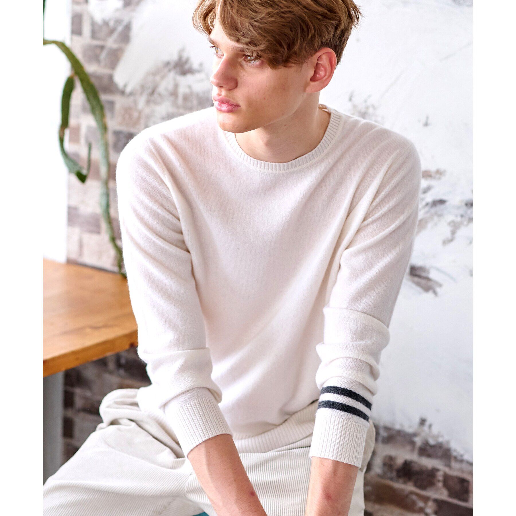 DRESSTERIOR「【カシミヤ100%】ピュアカシミヤクルーネックニット」|ニット・セーター|