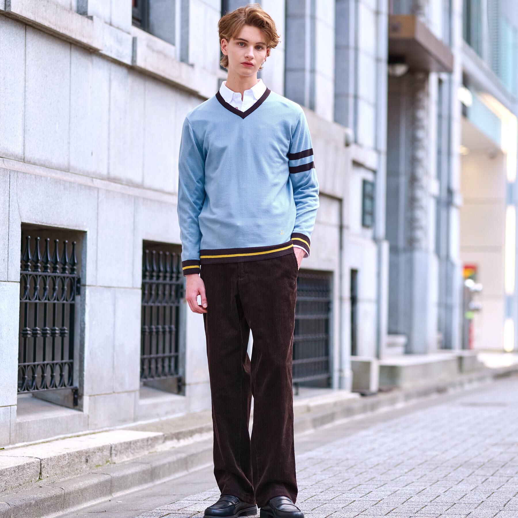 DRESSTERIOR「ウォッシャブルファインメリノ Vネックニット」|ニット・セーター|