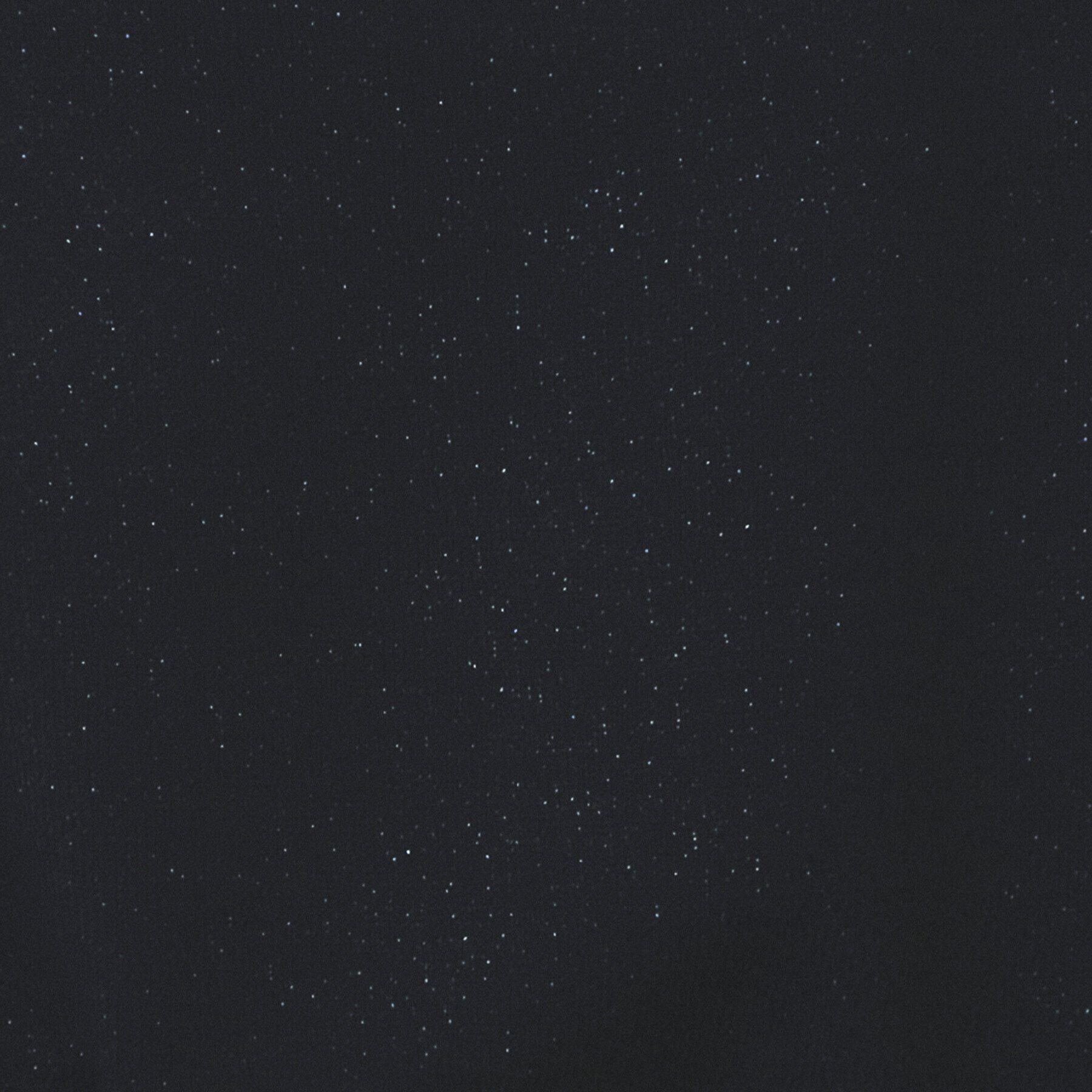 index「ラメリボンスリーブ二ット【洗濯機洗い可/抗ピル】」|ニット・セーター|