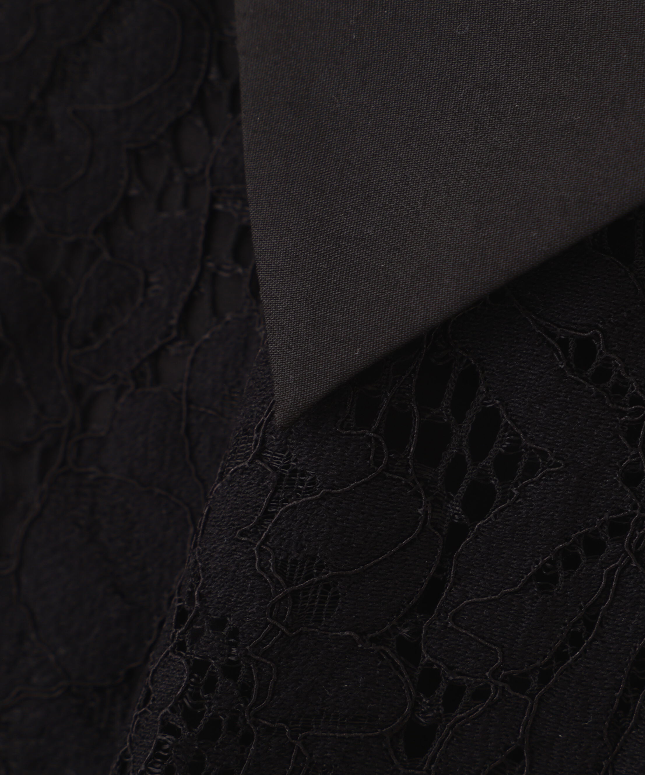 PROPORTION BODY DRESSING「ビッグ衿レースブラウス　26SS」|シャツ・ブラウス|