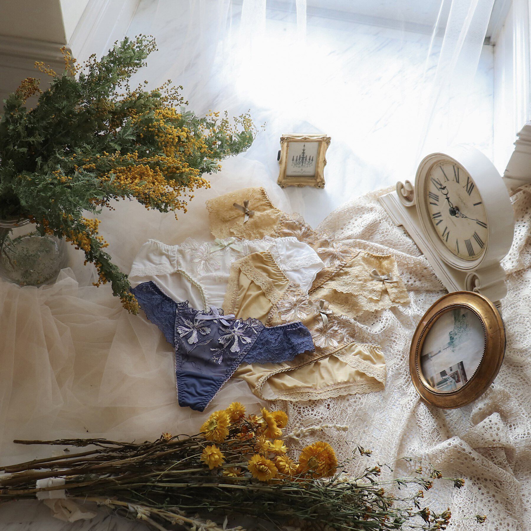 Risa Magli「シャンタル Tバックショーツ」|インナー|