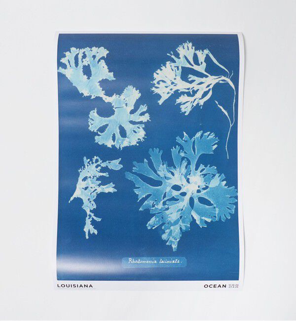 Style for Living「＜LOUISIANA MUSEUM OF MODERN ART＞POSTERS A2」|アート|その他5