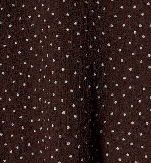 BEAUTY&YOUTH UNITED ARROWS「ポリエステル ドット シアー ブラウス ウォッシャブル」|シャツ・ブラウス|