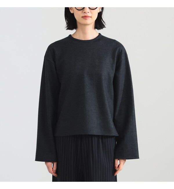Demi-Luxe BEAMS 「ウール ジャージ プルオーバー」|Tシャツ・カットソー|