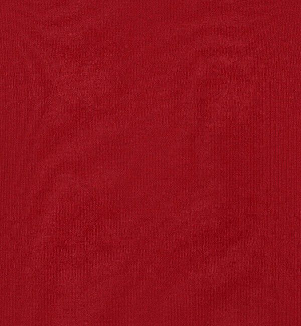 DES PRES「ウーステッドウールリブ Vラインハイネックプルオーバー」|ニット・セーター|