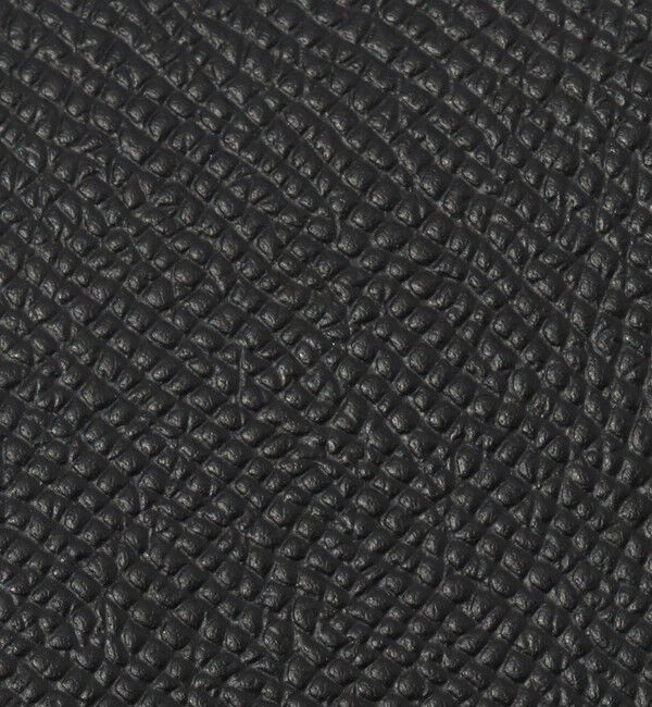 TOMORROWLAND GOODS「【別注】BROOKLYN MUSEUM シュリンクレザー キーケース」|キーケース|