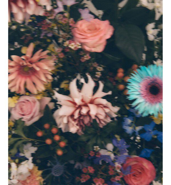 VIS「【DILIGENCE PARLOUR】VIS別注モデルローズ刺繍ポロケーブルニットスカート【セットアップ対応】」|スカート|