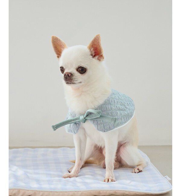 ROPE PICNIC PASSAGE「【DOG】ひんやりスタイ」|その他|