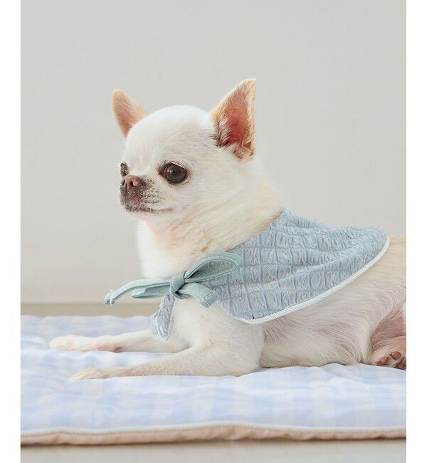 ROPE PICNIC PASSAGE「【DOG】ひんやりスタイ」|その他|