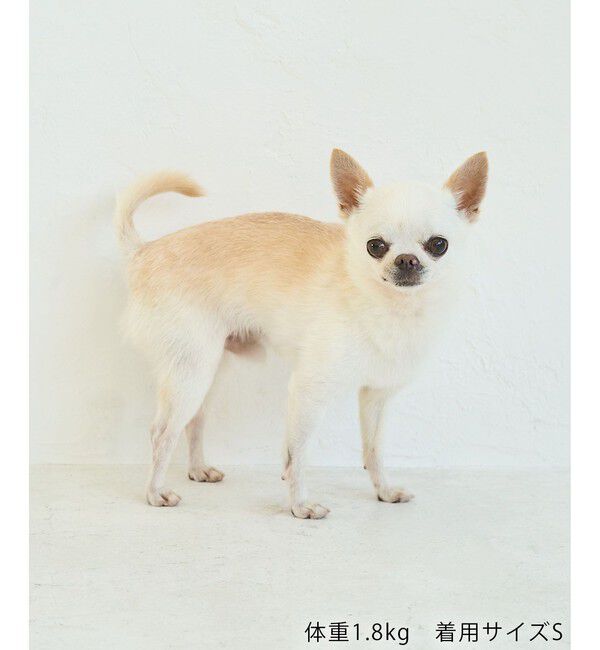 ROPE PICNIC PASSAGE「【DOG】サイドラインパーカー/リンクコーデ」|その他|