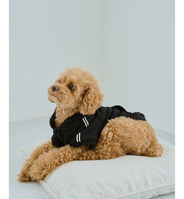 ROPE PICNIC PASSAGE「【DOG】サイドラインパーカー/リンクコーデ」|その他|