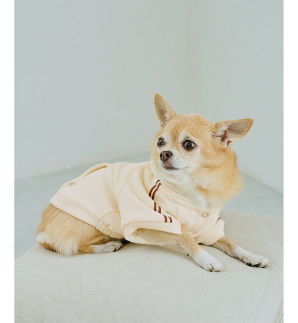 ROPE PICNIC PASSAGE「【DOG】サイドラインパーカー/リンクコーデ」|その他|キナリ(16)