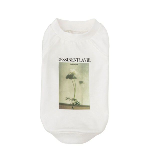 ROPE PICNIC PASSAGE「【DOG】RENU photo Tee/UVカット・接触冷感・リンクコーデ」|その他|ホワイト系(12)