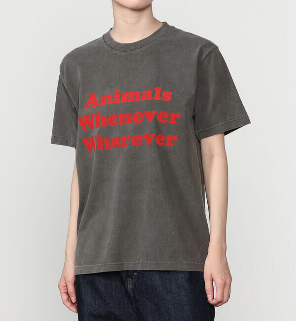  「STUDIO WEAREALLANIMALS | Whatever Whenever 半袖Tシャツ WOMEN」|Tシャツ・カットソー|