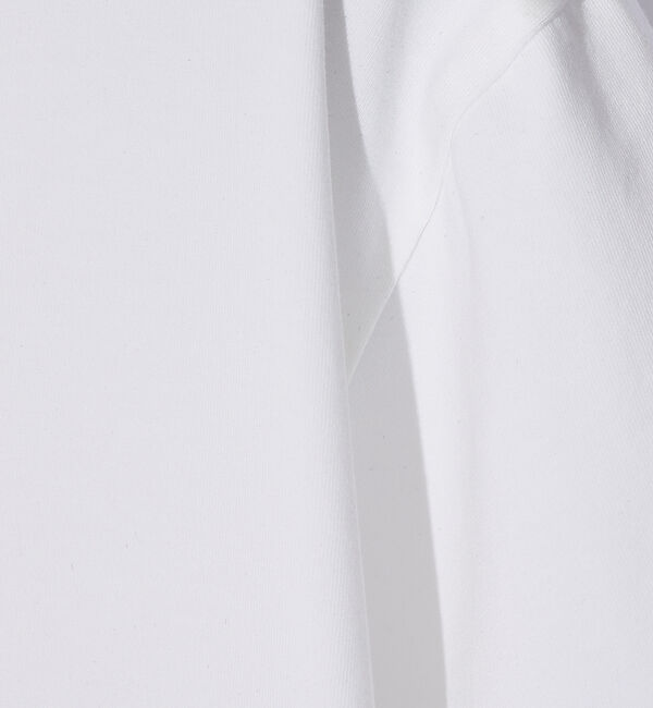 ABAHOUSE「【ブラシプリント】グラフィックTシャツ」|Tシャツ・カットソー|