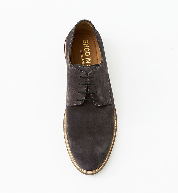 alfredoBANNISTER「【SHOO IN SHOE】スエード ダービーシューズ 一部店舗＋WEB限定」|その他|