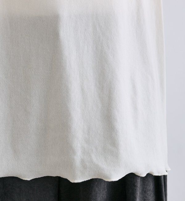  「【リバイバル】ナイロンチュールベロアクルーネックカットソー」|プルオーバー|