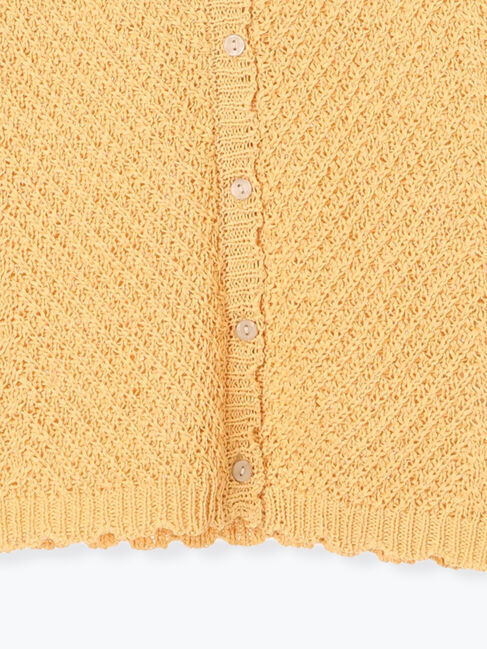 Lugnoncure「テープヤーンニットベスト《2025summer catalog item》」|ニット・セーター|