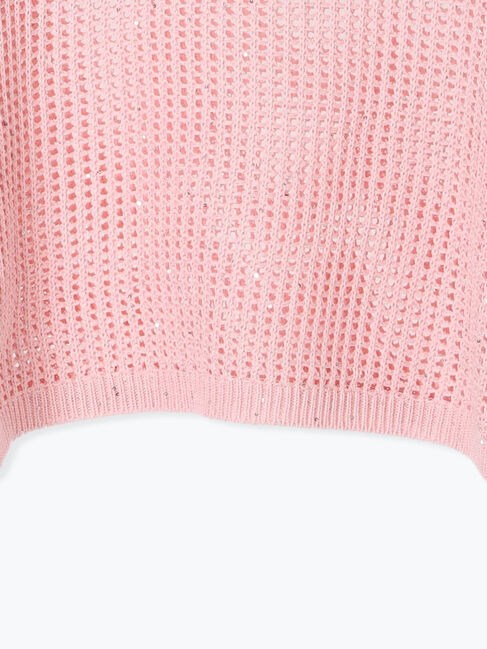 Te chichi「スパンコールメッシュハーフスリーブニット《2025Autumn catalog item》」|ニット・セーター|