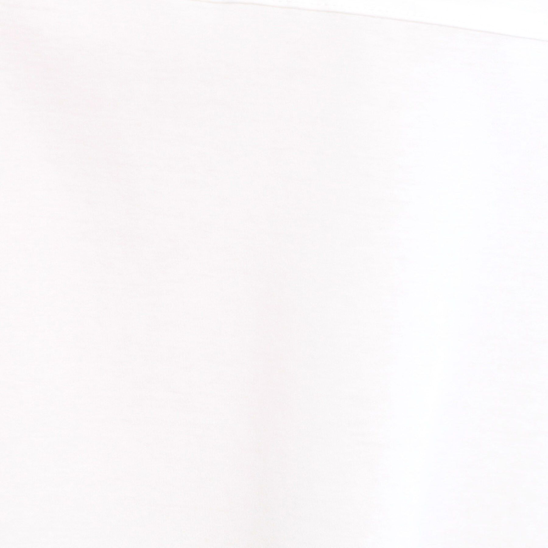 Reflect「【夏SALE／E‐QUALITY／手洗い可】シアーラグランプルオーバー」|Tシャツ・カットソー|