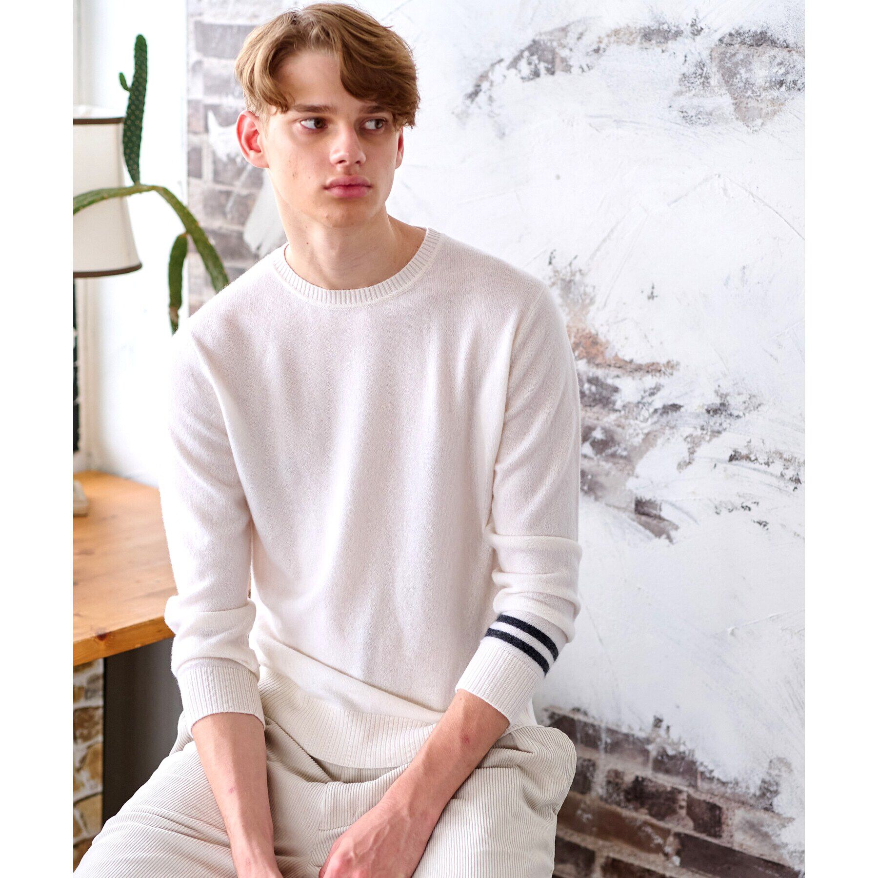 DRESSTERIOR「【カシミヤ100%】ピュアカシミヤクルーネックニット」|ニット・セーター|