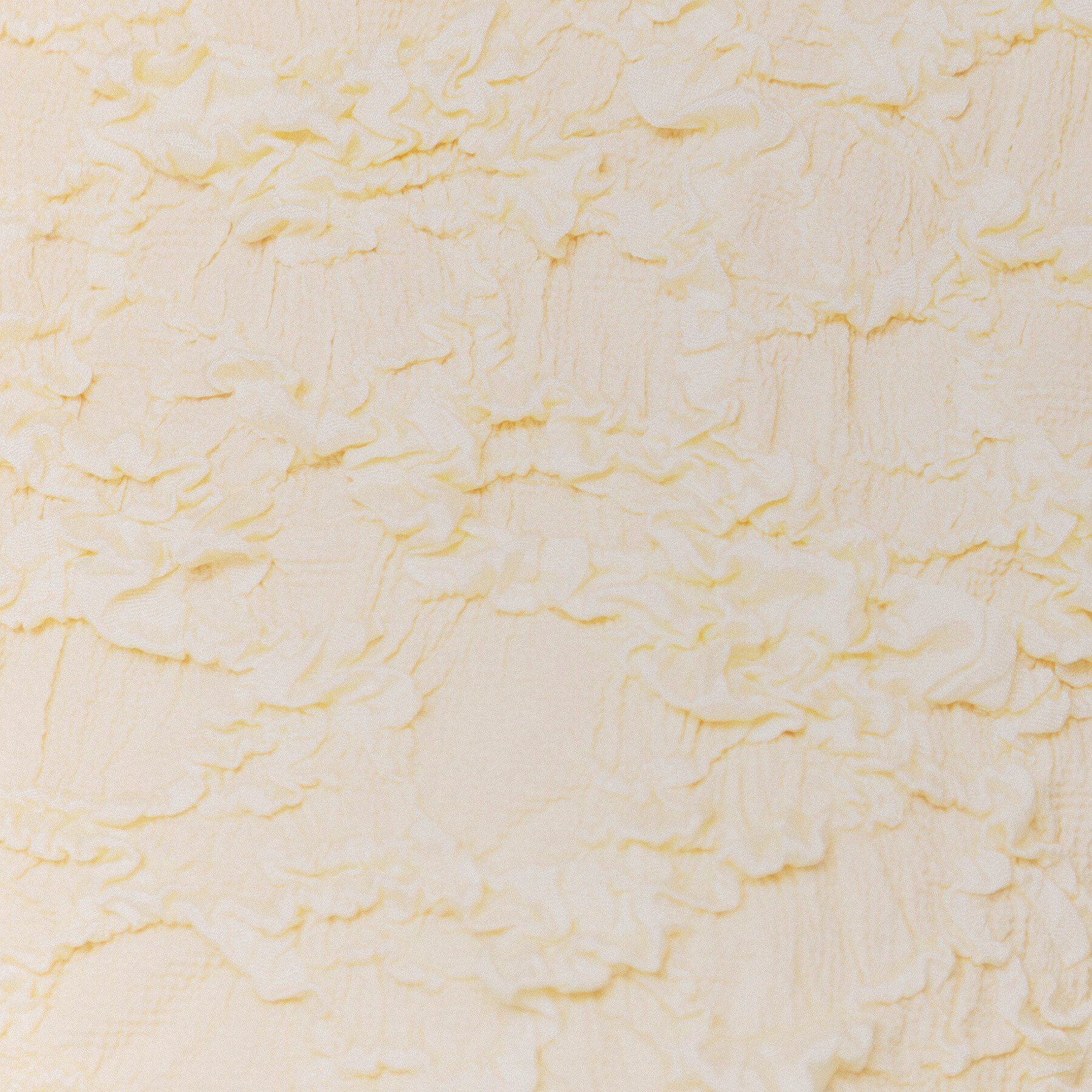 index「ジャカードコンパクトトップス【洗濯機洗い可】」|Tシャツ・カットソー|