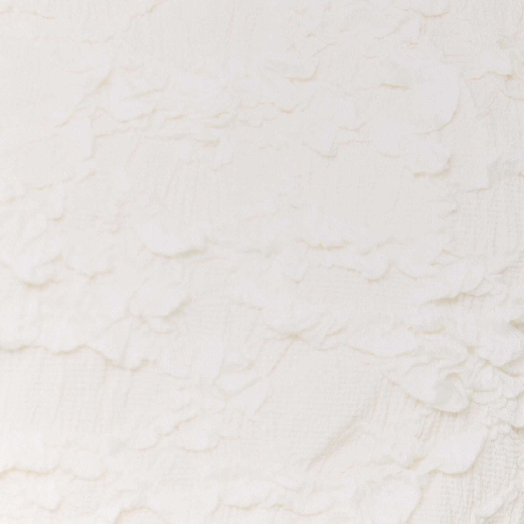 index「ジャカードコンパクトトップス【洗濯機洗い可】」|Tシャツ・カットソー|