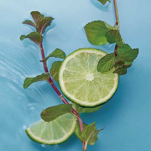 F ORGANICS「スキャルプ スパ ジェルＣ 【O by F】」|入浴剤・バスグッズ|