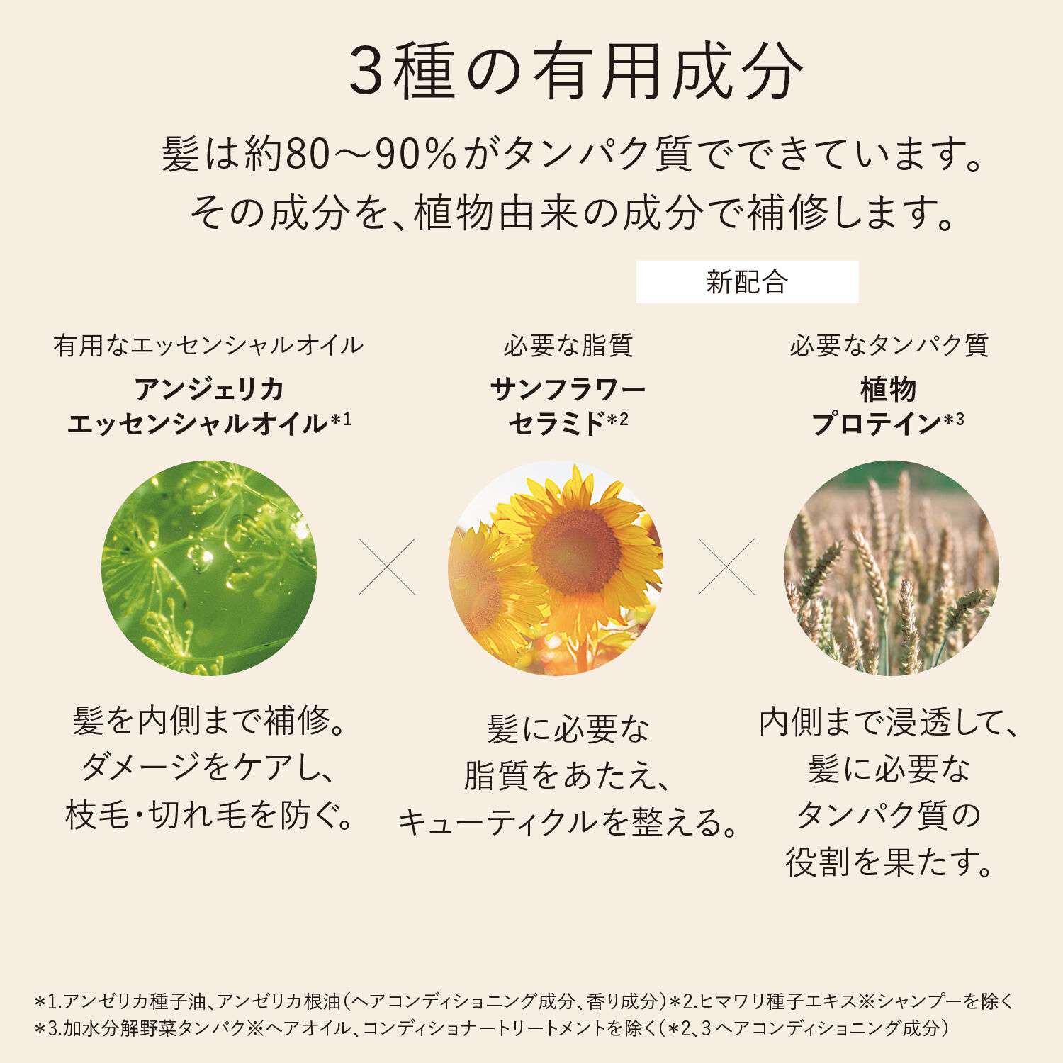 L&rsquo;OCCITANE「インテンシヴリペア コンディショナートリートメント」|コンディショナー・トリートメント|