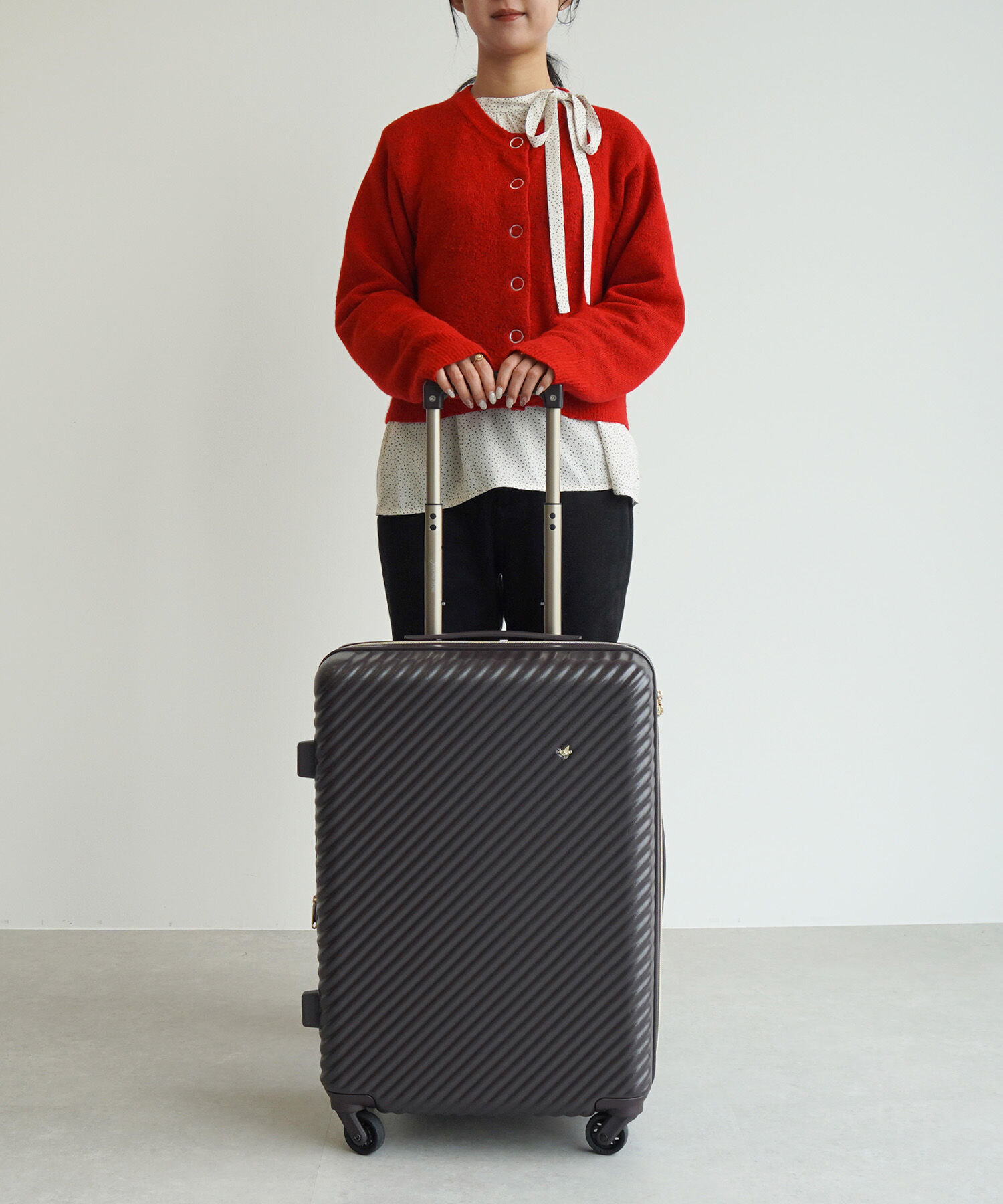 Jewelna Rose「HaNT&times;ジュエルナローズ コラボ スーツケース Mサイズ 06822」|キャリーケース|