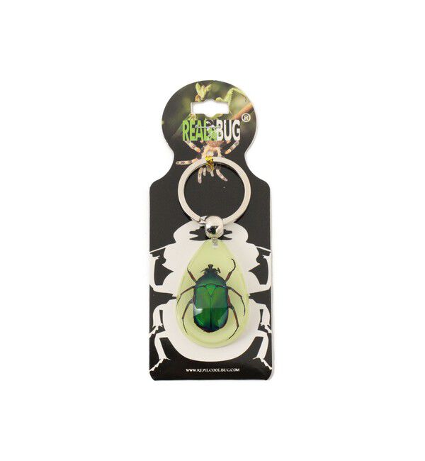 BEAMS「R/B_DROP_K/CHAIN」|その他|