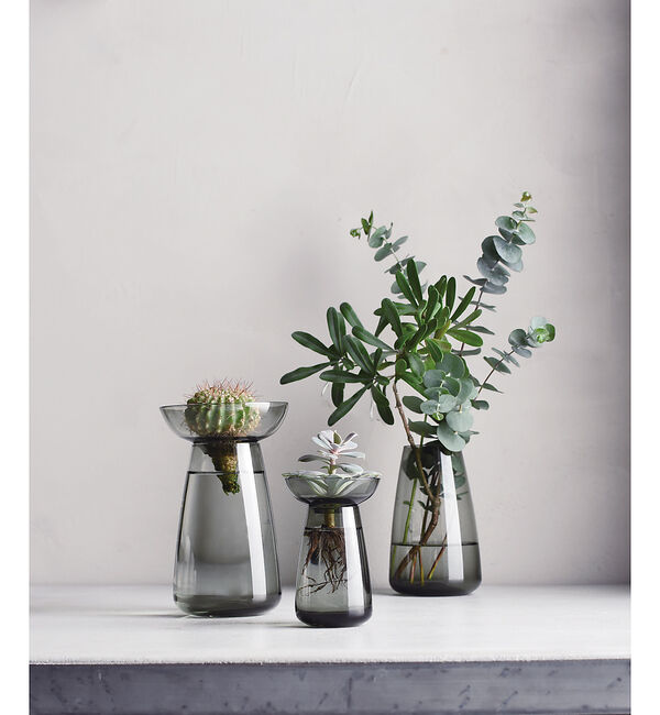 collex「【KINTO /キントー】アクアカルチャーベース120」|フラワーベース|