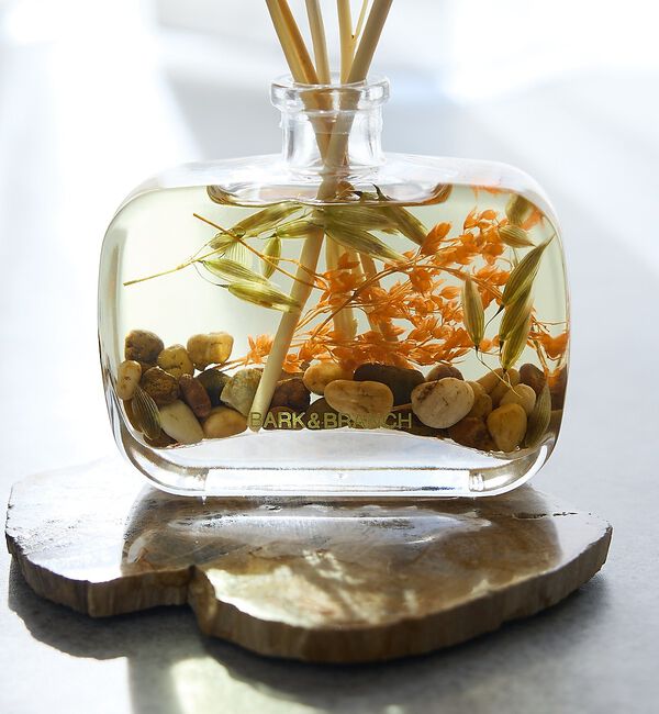 collex「【BARK&BRANCH】 ディフューザー 100ml」|アロマ・ルームフレグランス|