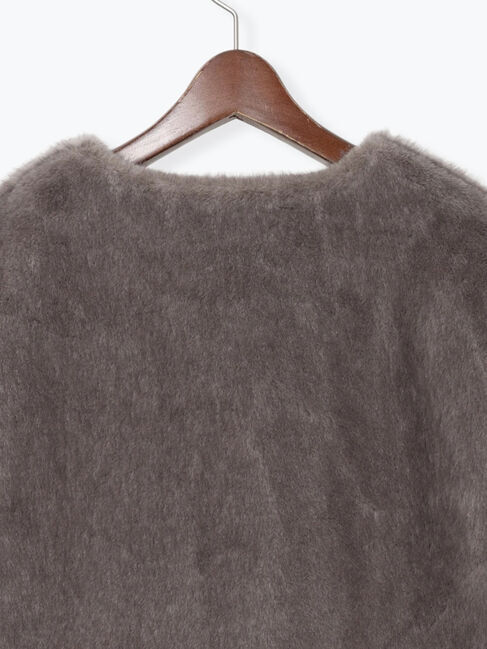 Te chichi「グラデーションファーノーカラージャケット《2025winter catalog item》」|その他|