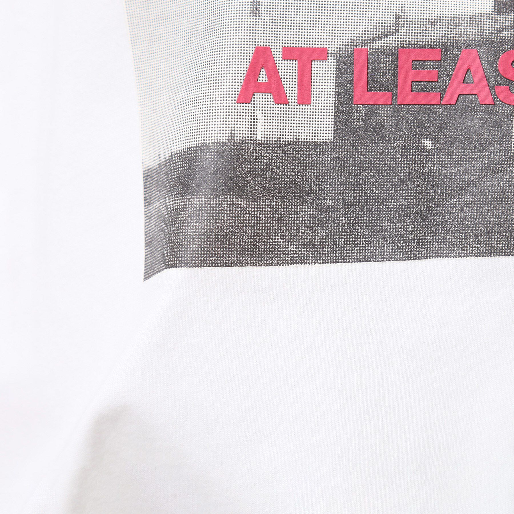 Dessin「【洗える】フォトプリントTシャツ（XS～L）」|Tシャツ・カットソー|