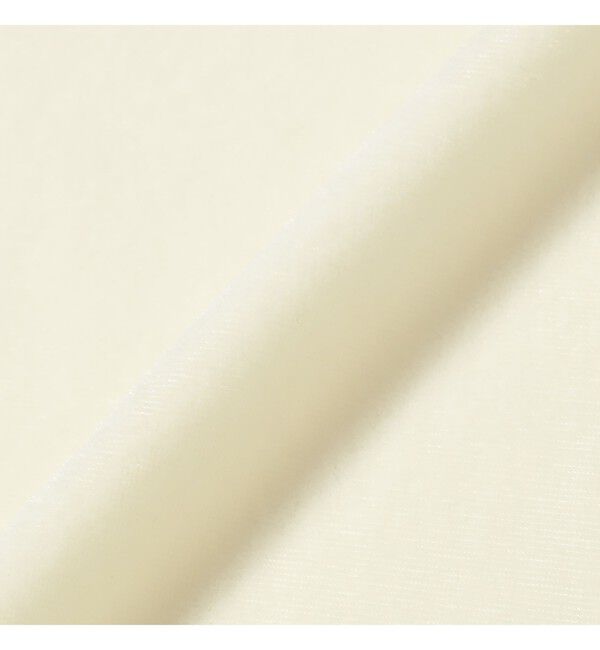 Ray BEAMS 「サマー ベロア リンガー Tシャツ」|Tシャツ・カットソー|