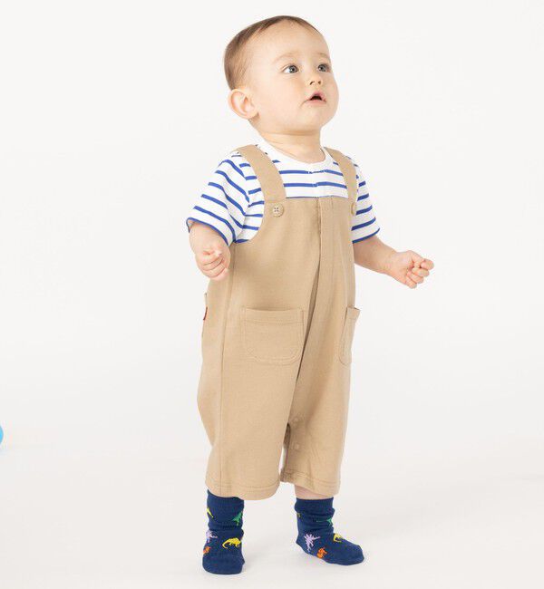 SHIPS KIDS「SHIPS KIDS:ベビー ダイナソー ソックス」|ソックス|