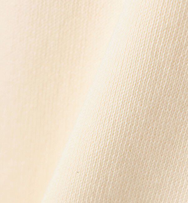 SHIPS for women「gicipi:クルーネック リラックス フィット ミラノ リブ カットソー（SPINACIO）」|Tシャツ・カットソー|