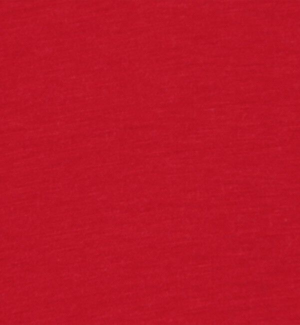 BACCA「テンセルシルク ベーシックTシャツ」|Tシャツ・カットソー|