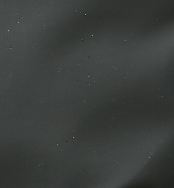 alfredoBANNISTER「【軽量、撥水】21L 素材切替 ユーティリティ デイパック  A4サイズ対応 1」|リュック|