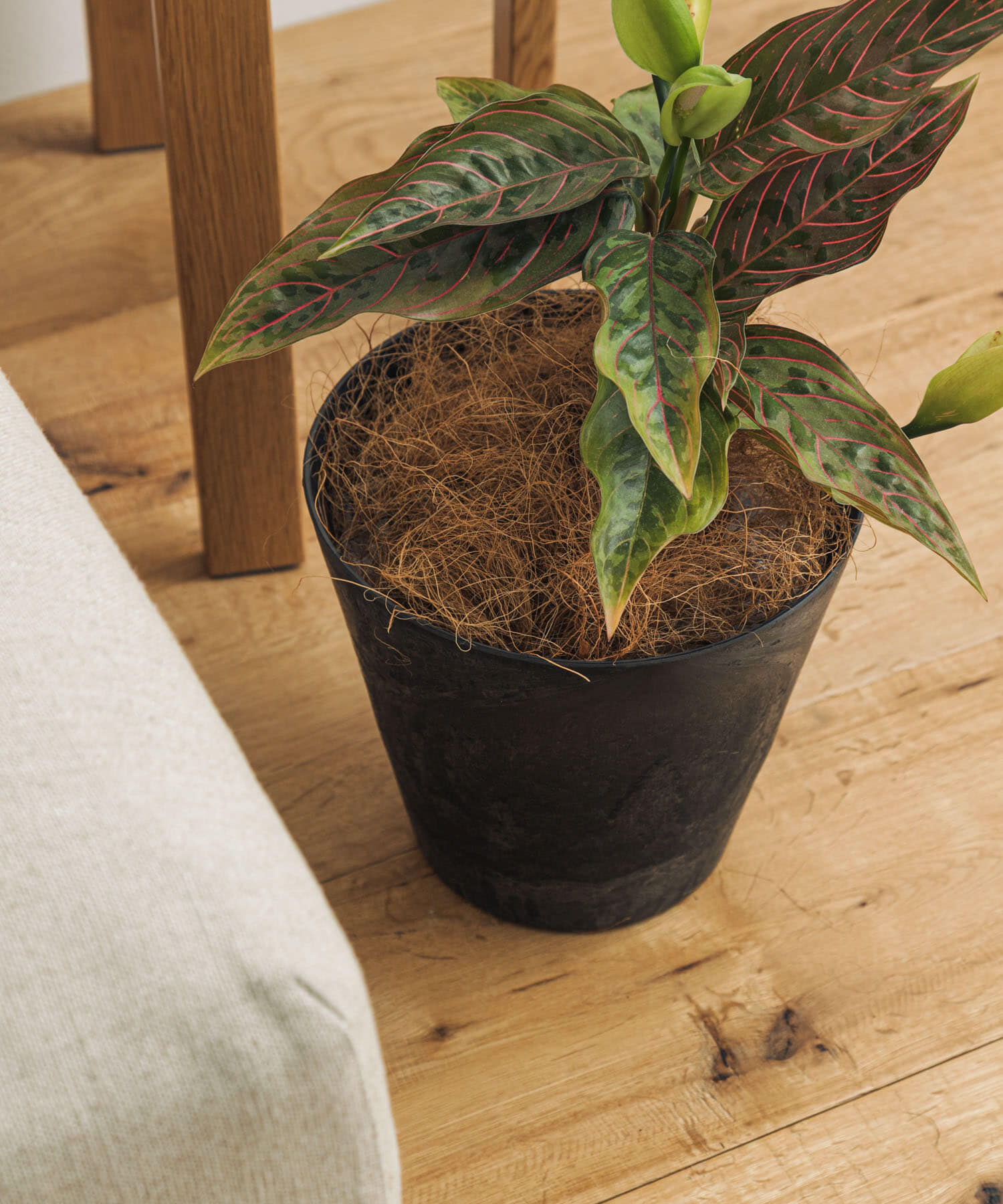 URBAN RESEARCH DOORS「amabro　ART STONE S BK」|フィギュア・ホビー|