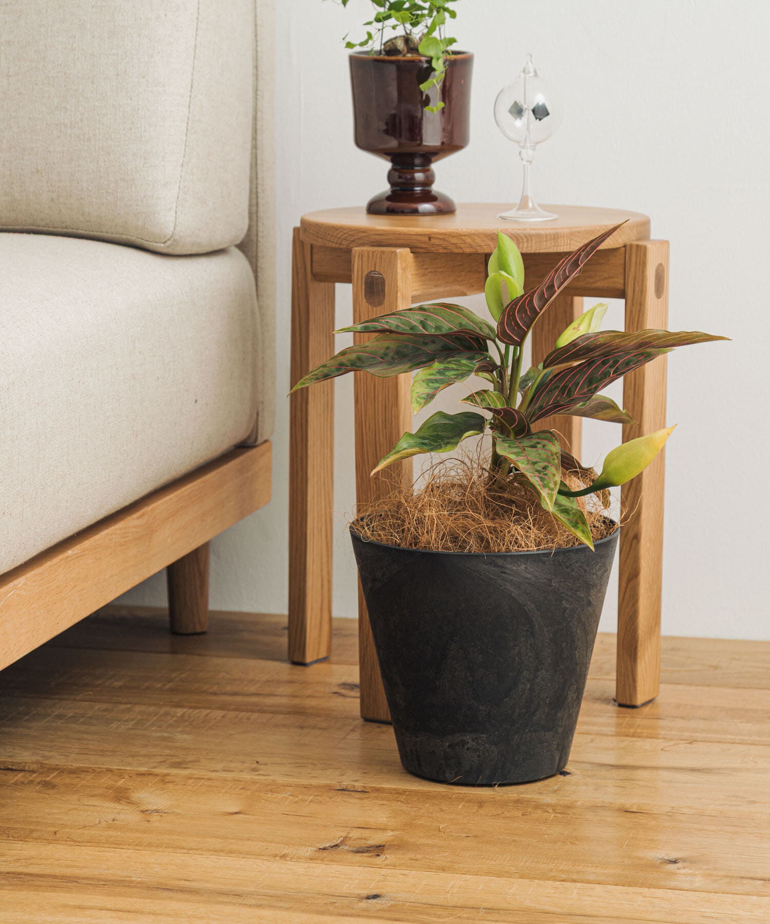 URBAN RESEARCH DOORS「amabro　ART STONE S BK」|フィギュア・ホビー|