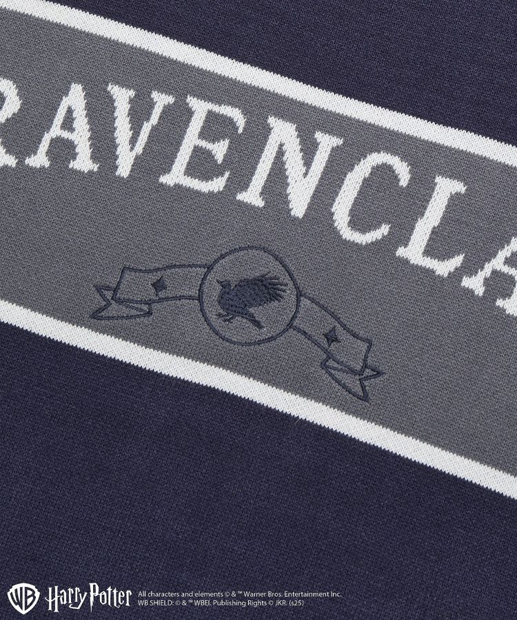 Green Parks「ハリー・ポッター/ジャガードラインニット」|ニット・セーター|