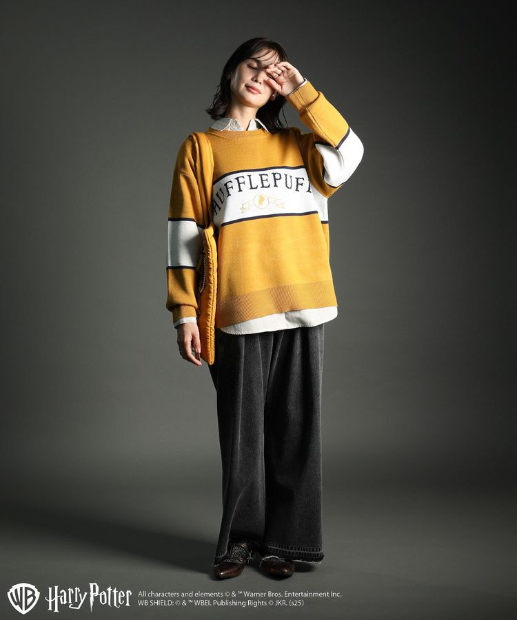 Green Parks「ハリー・ポッター/ジャガードラインニット」|ニット・セーター|