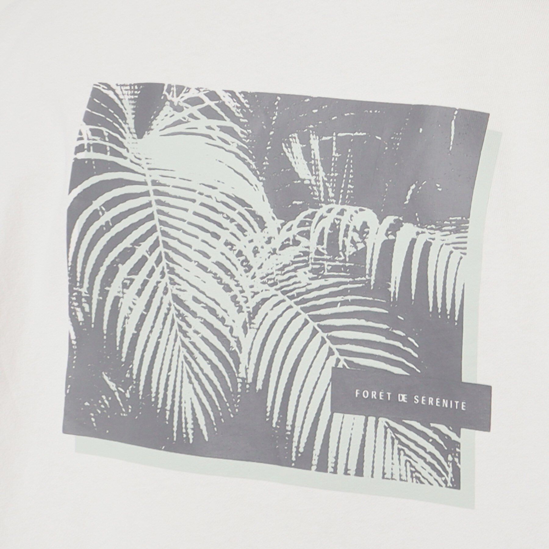 THE SHOP TK「【Begin6月号掲載】オーガニックコットンプリント半袖Tシャツ」|Tシャツ・カットソー|