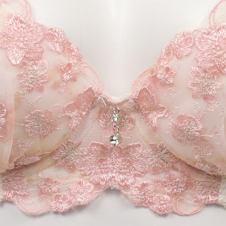 intesucre「アンテシュクレ  なでしこブラ スレンダースタイル ブラジャー単品  IBT379」|インナー|