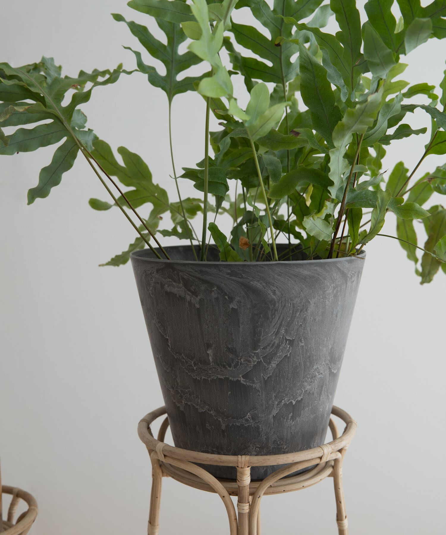 URBAN RESEARCH DOORS「『WEB限定』amabro　ART STONE M」|フィギュア・ホビー|グレー